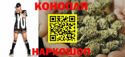 сатива Лесосибирск